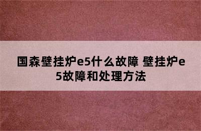 国森壁挂炉e5什么故障 壁挂炉e5故障和处理方法